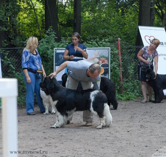 Фотография № 102726