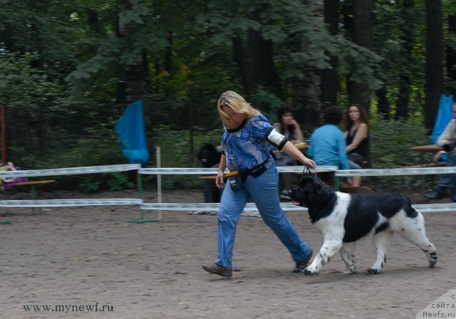 Фотография № 102727