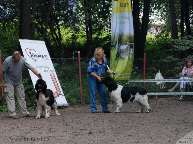 Фотография № 102732