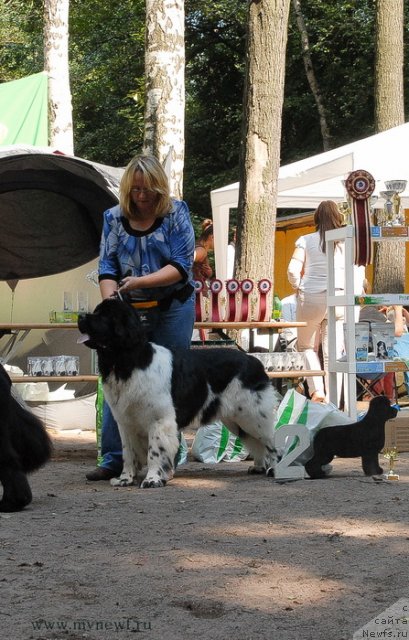 Фотография № 102736