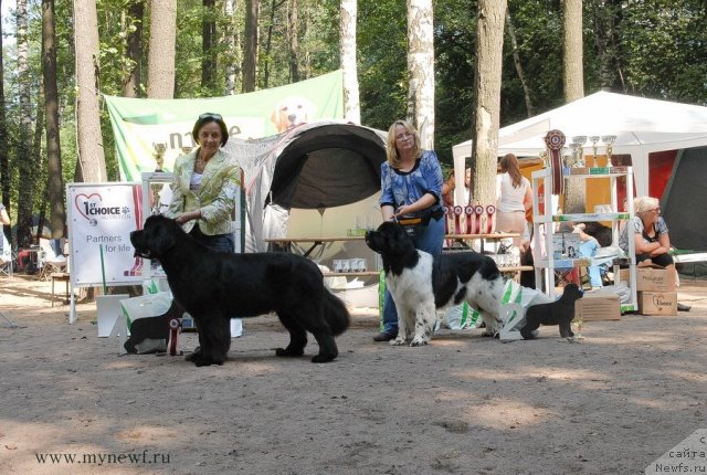 Фотография № 102737