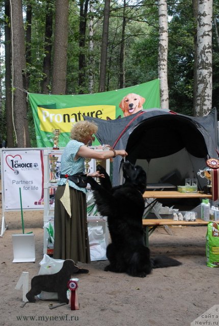 Фотография № 102739