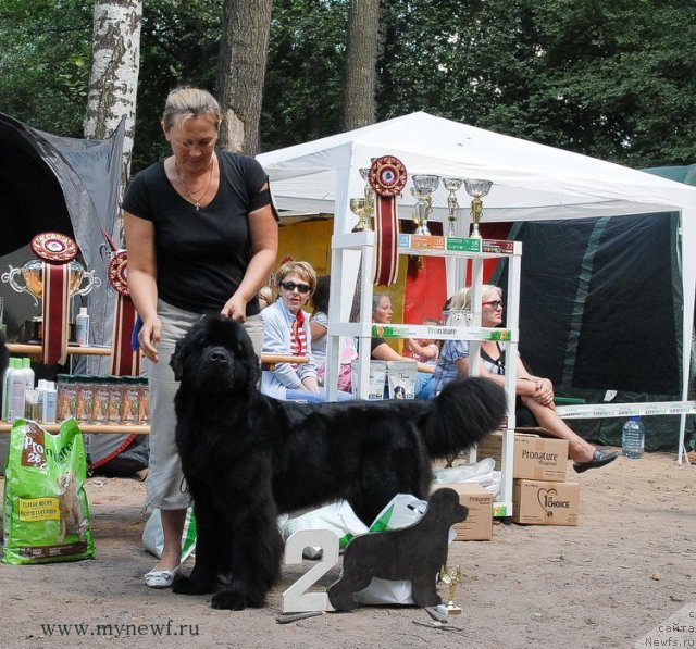 Фотография № 102743