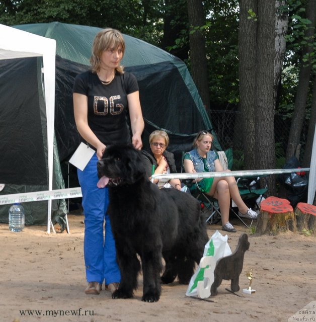 Фотография № 102745