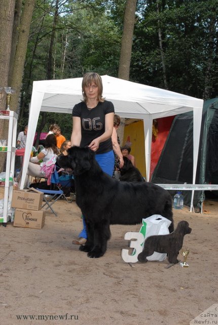 Фотография № 102746