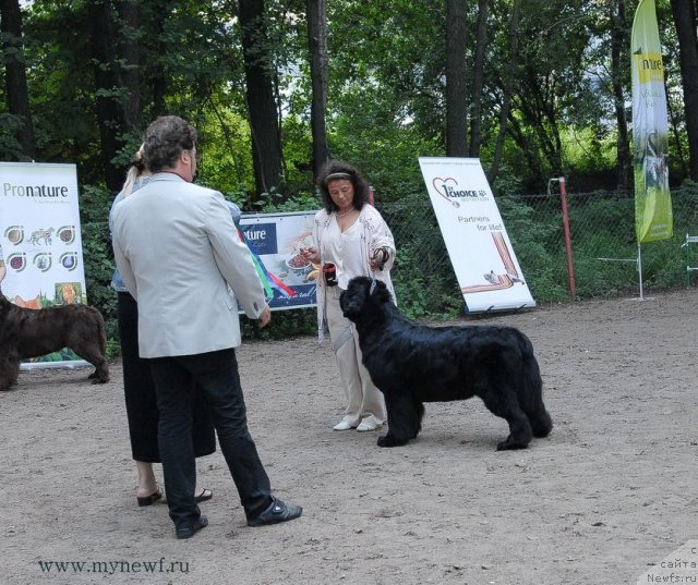 Фотография № 102748