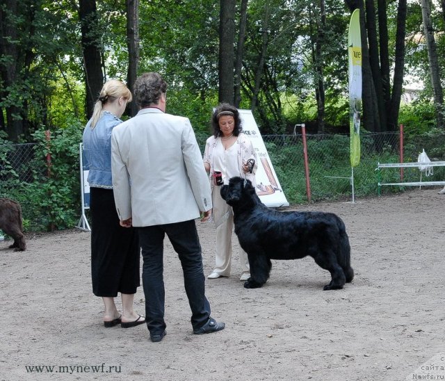 Фотография № 102749