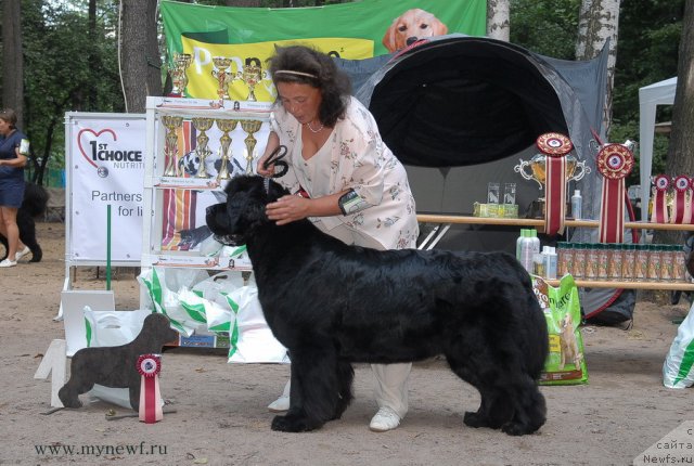 Фотография № 102751