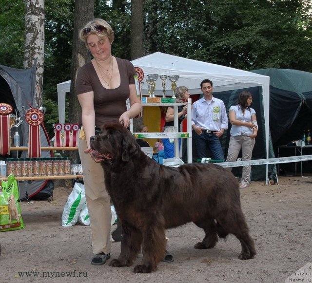 Фотография № 102755