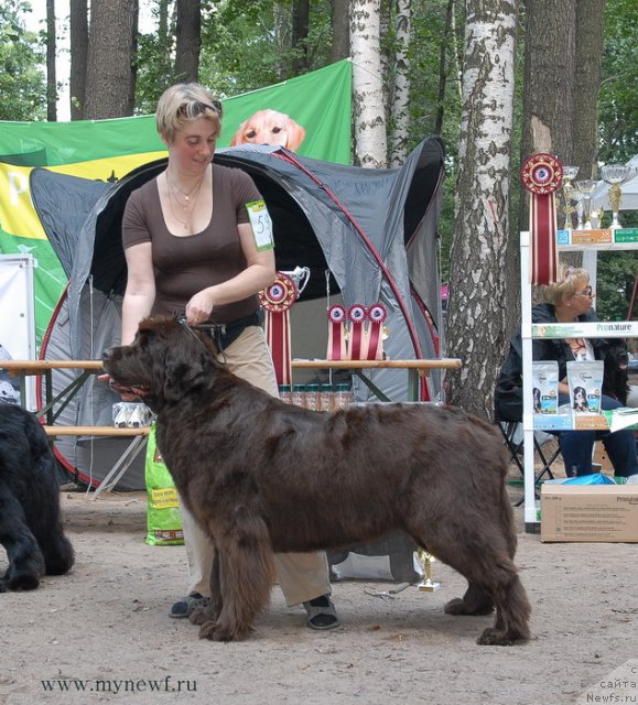 Фотография № 102756