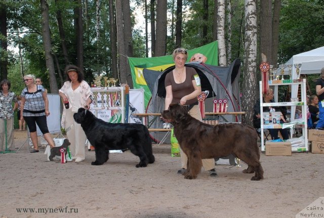 Фотография № 102757