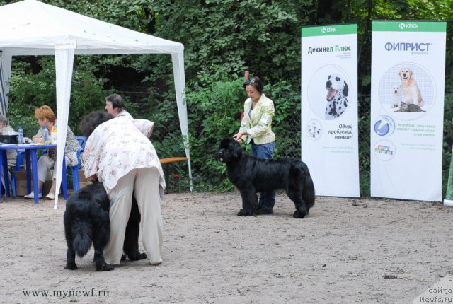 Фотография № 102759