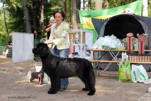 Фотография № 102762