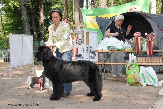 Фотография № 102763