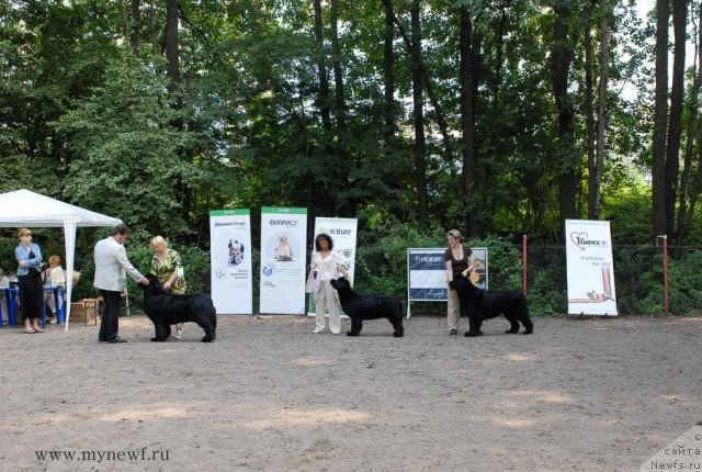 Фотография № 102765