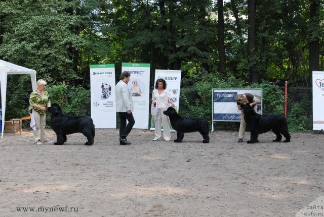 Фотография № 102766