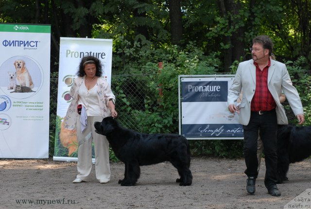 Фотография № 102767