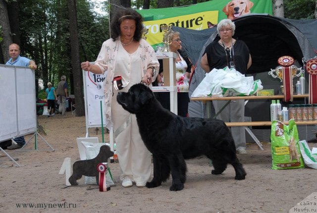 Фотография № 102768