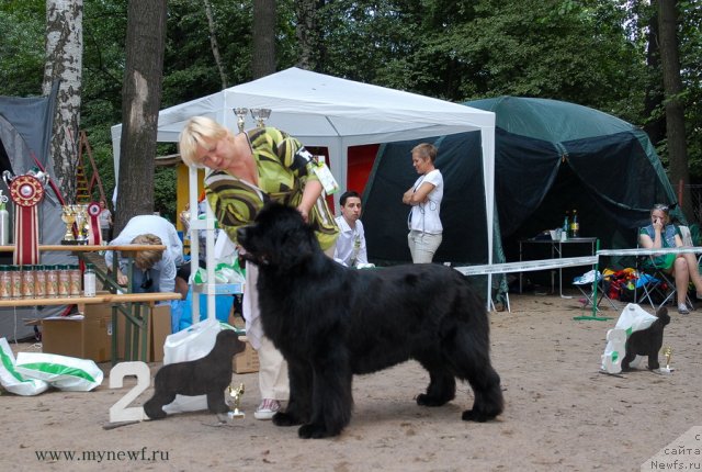 Фотография № 102770