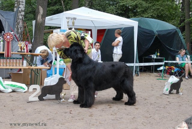 Фотография № 102771