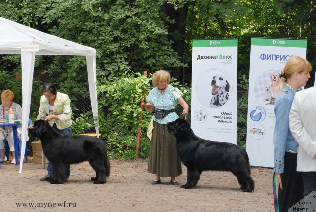 Фотография № 102773