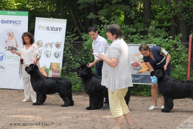 Фотография № 102774