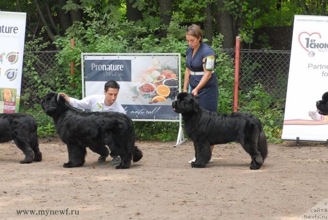 Фотография № 102775