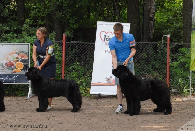 Фотография № 102776