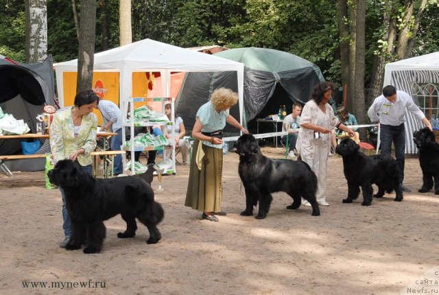 Фотография № 102779