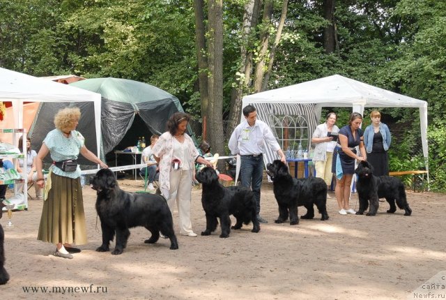 Фотография № 102780