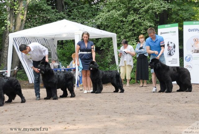 Фотография № 102781