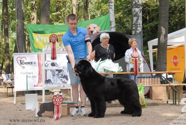 Фотография № 102782