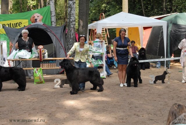 Фотография № 102783