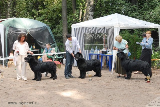 Фотография № 102784