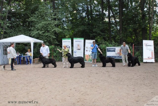 Фотография № 102787