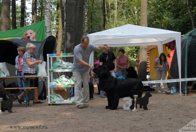 Фотография № 102789