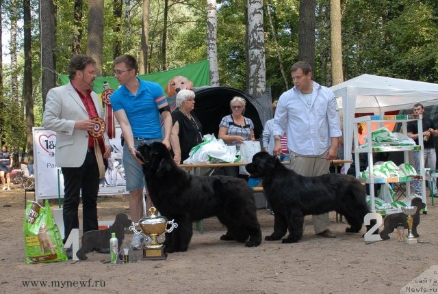 Фотография № 102790