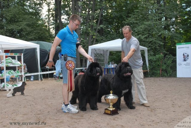 Фотография № 102792