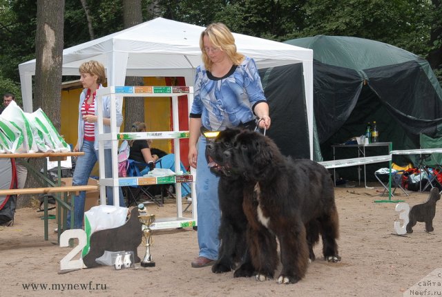 Фотография № 102793