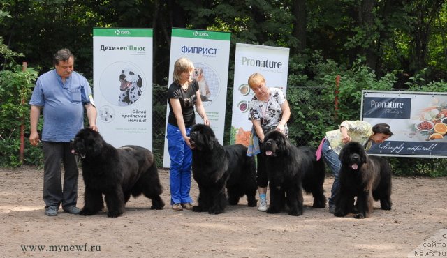 Фотография № 102795