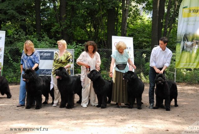 Фотография № 102796