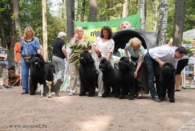 Фотография № 102798