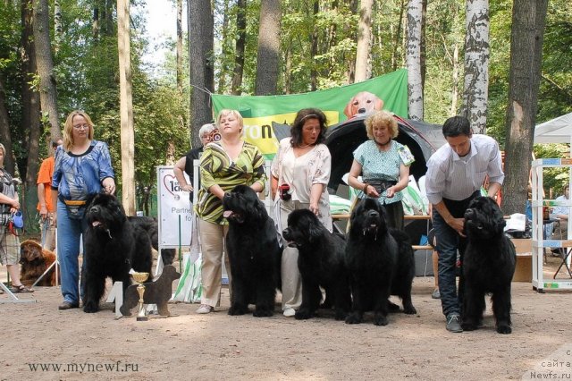 Фотография № 102799