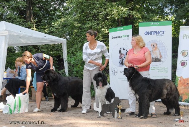 Фотография № 102808