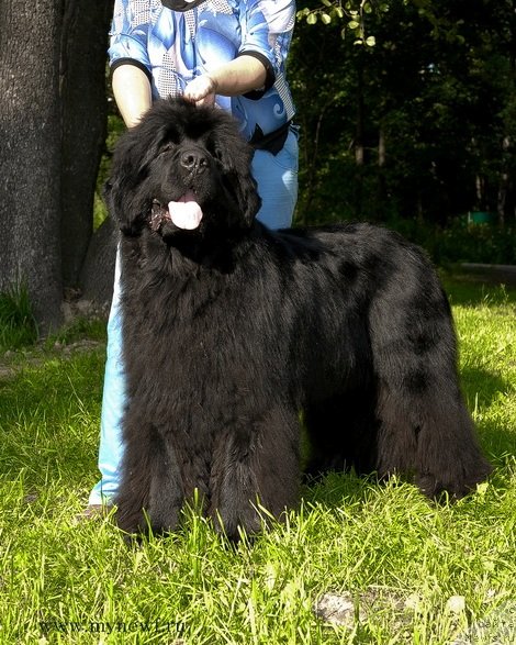 Фотография № 102815