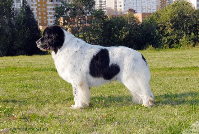 Фотография № 102817