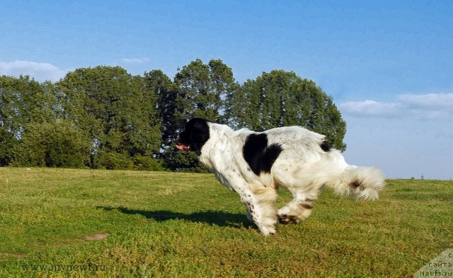 Фотография № 102823