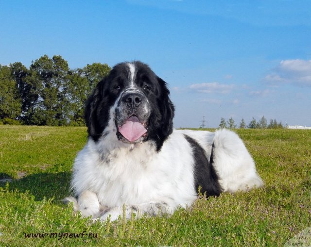 Фотография № 102827