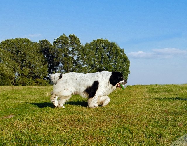 Фотография № 102828