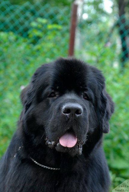 Фотография № 102834